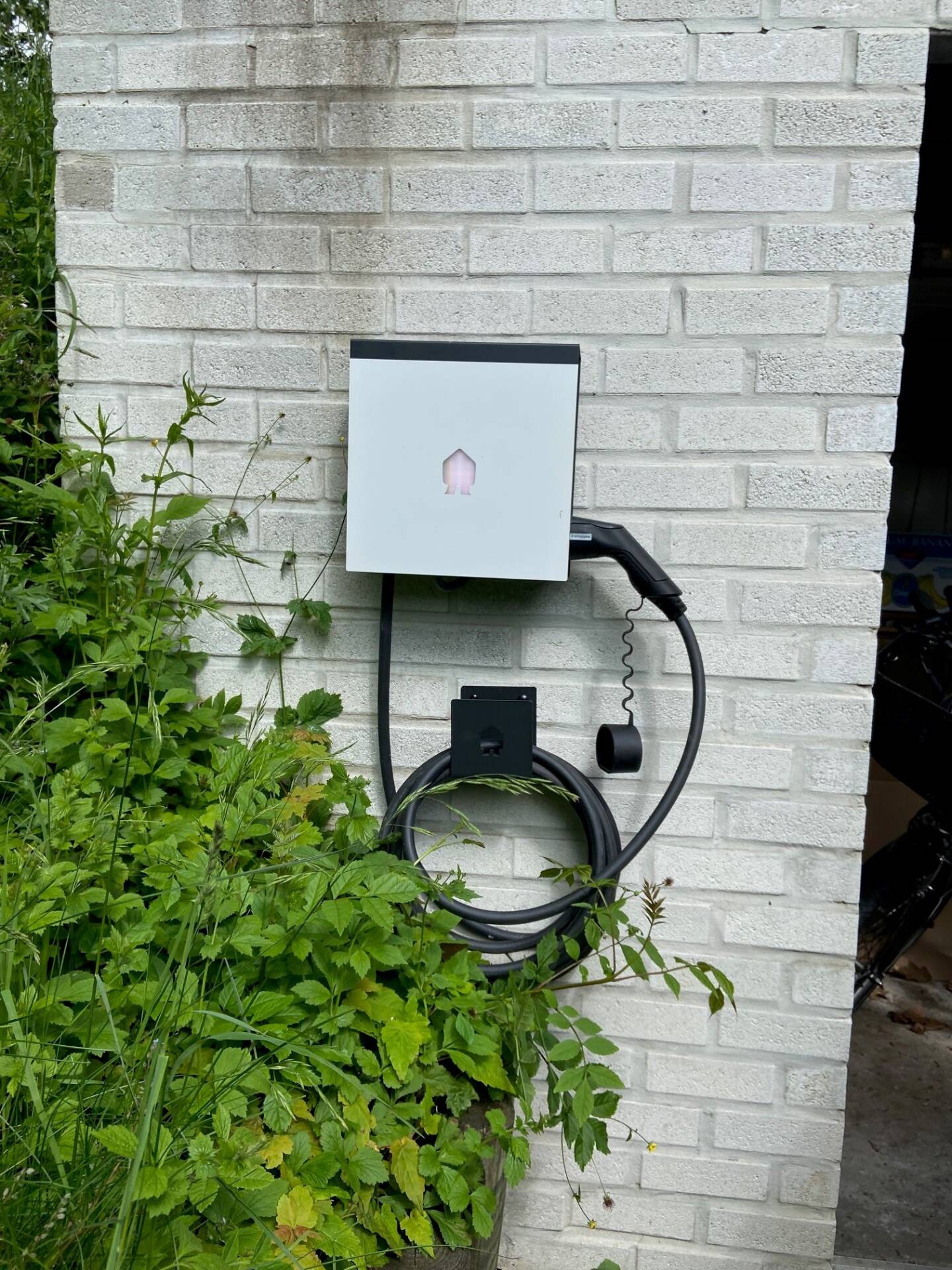 Lumeco — photo 5